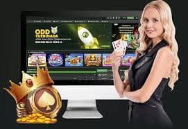 qq1211